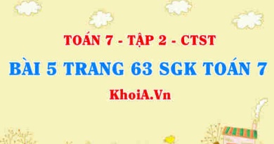 Bài 5 trang 63 SGK Toán 7 tập 2 Chân trời sáng tạo